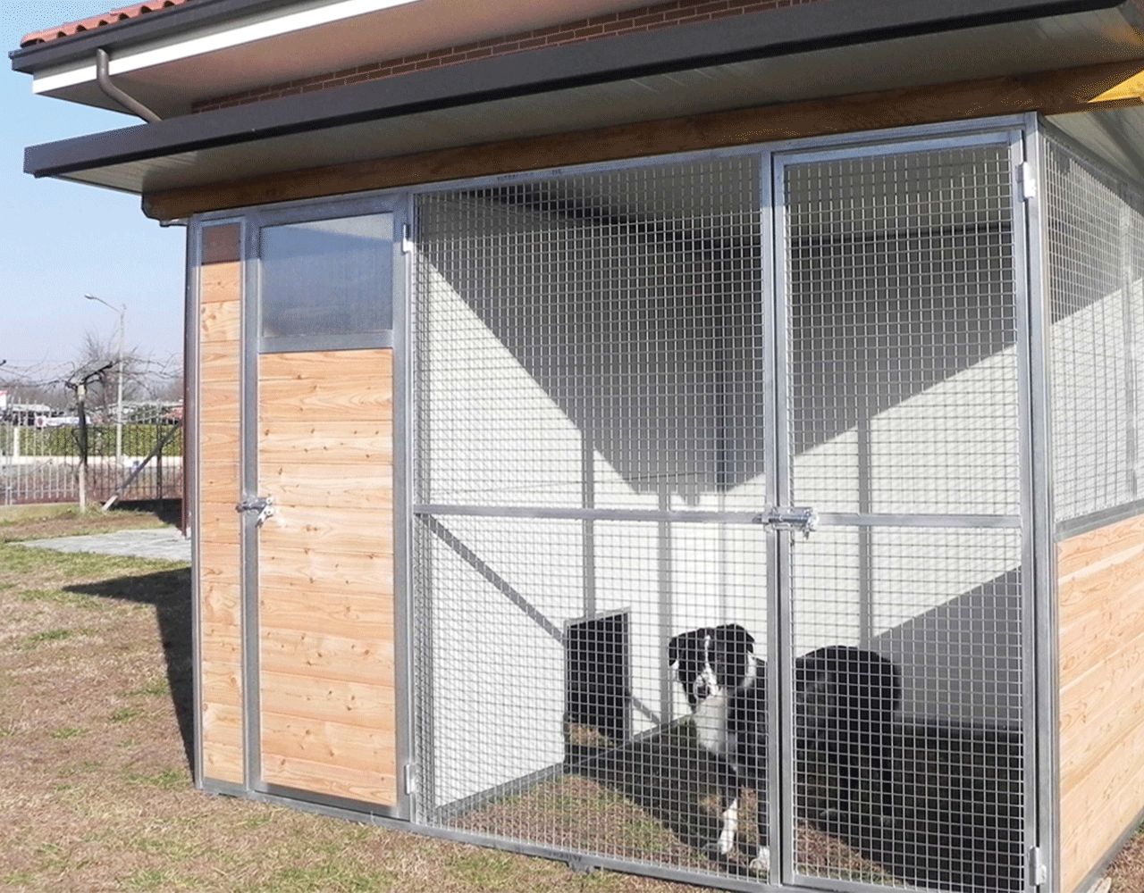 box per cani con magazzino